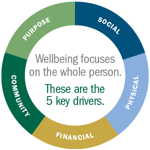 CBIZ_Wellbeing_5 drivers_webGraphic